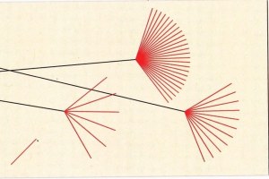 Organized Chaos Consulting